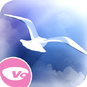 Tohiko ~Ai no Sentaku~ - JP Game Icon.png