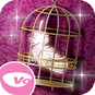 KBTBB - JP Game Icon.png