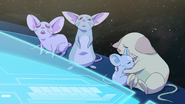 Distraught over the disappearance of Allura and the Paladins through a dimensional rift.