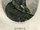 Jean-Charles Monnier