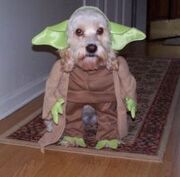 Yoda1