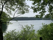 Walden Pond outlook