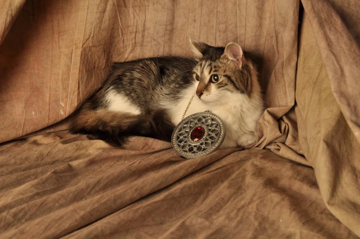 Jack Bright Vortex, A Discord Server's Wiki Fandom