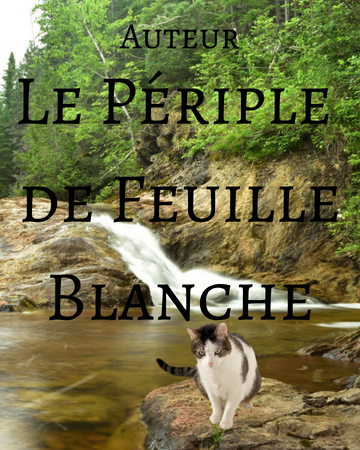 Le Periple De Feuille Blanche Wiki Vos Histoires De Lgdc Fandom