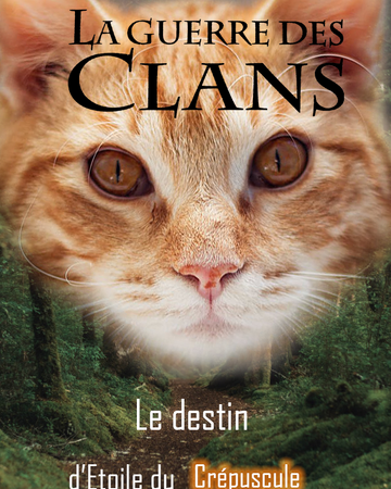 Le Destin D Etoile Du Crepuscule Wiki Vos Histoires De Lgdc Fandom Le Destin D Etoile Du Crepuscule Wiki Vos Histoires De Lgdc Fandom