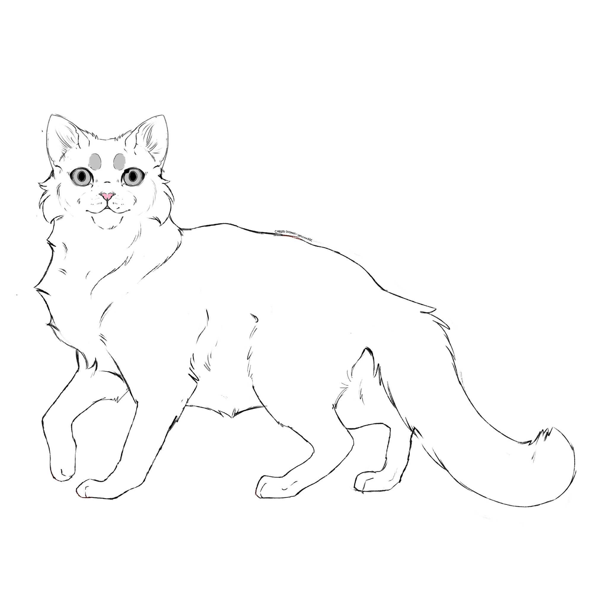 La Guerre Des Chats De La Galaxie 1 Wiki Vos Histoires De Lgdc Fandom La Guerre Des Chats De La Galaxie 1 Wiki Vos Histoires De Lgdc Fandom