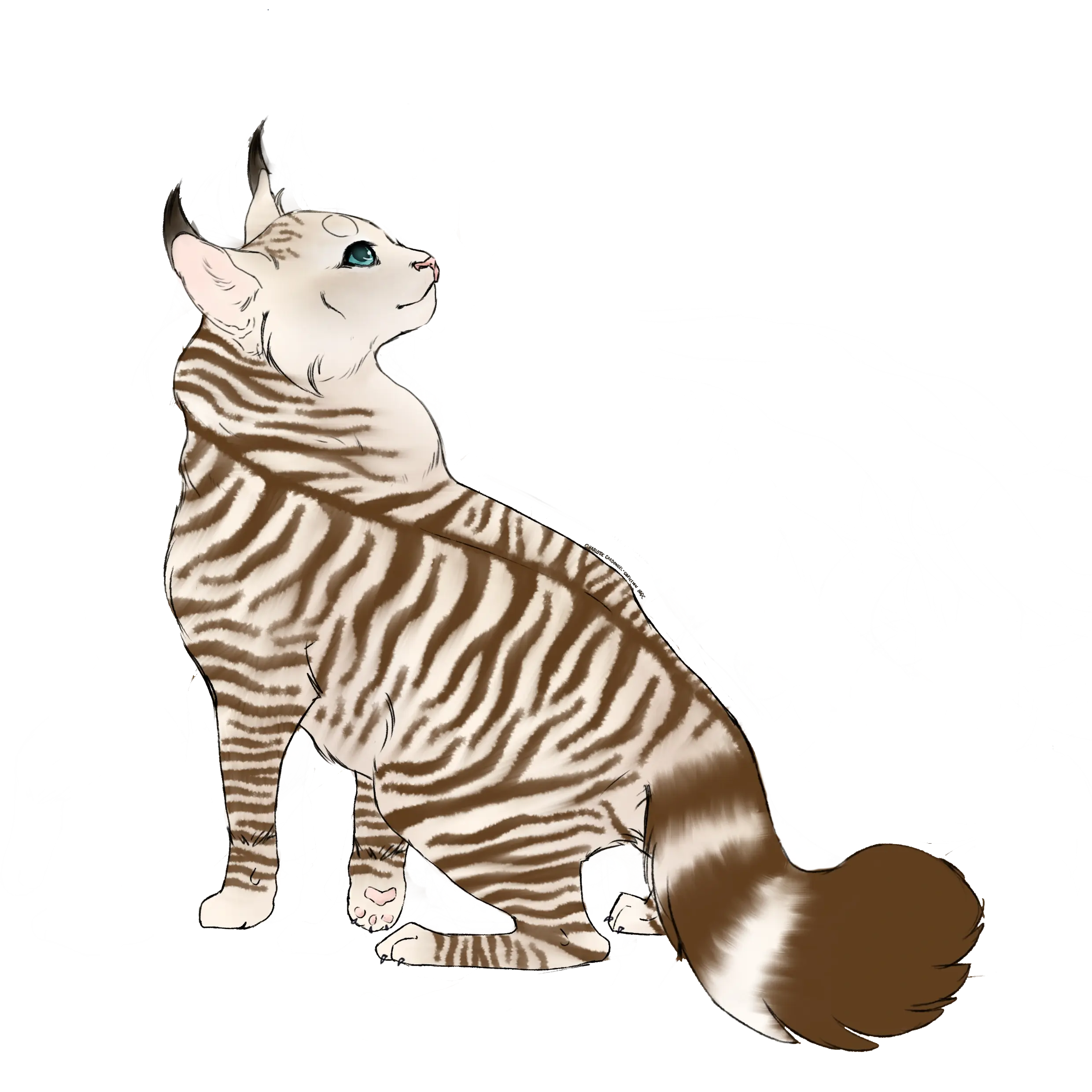 L'Indécision de Griffe de Pluie | Wiki Vos histoires de LGDC | Fandom, image size:2480x2480