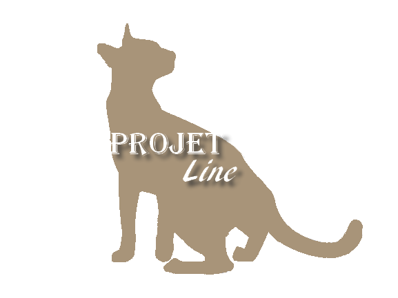 Le projet Line