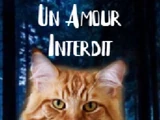 Un Amour Interdit