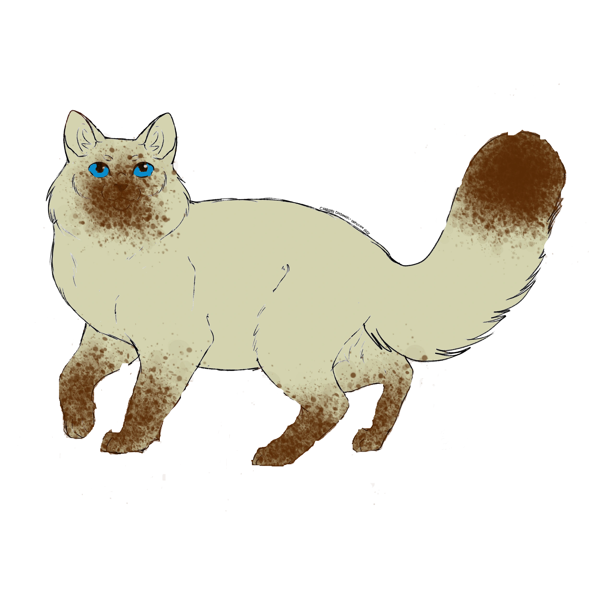 au royaume des chats (@auroyaumedeschats) • Instagram photos and videos, image size:2480x2480