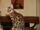 Plumed'Etoile82/Faire un chat bengal
