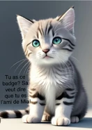 Merci Fan de chats !