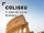 Coliseu: A Joia da Coroa Romana