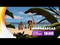 Madagascar : Elenco, atores, equipa técnica, produção - AdoroCinema