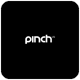 Pinch VR