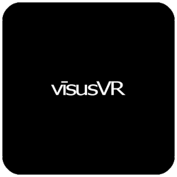 Icon visusvr