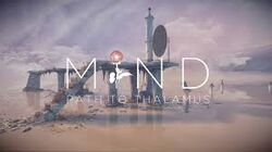 Mind Path to Thalamus