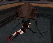 Rofl April 21st 16 Roach (Capo1) mating ritual on Hachiko