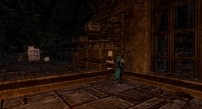 CT figuring out the puzzle