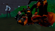 Robin extracting the venom from the spider