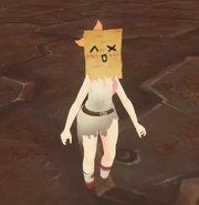 Anna wearing a "disguise"