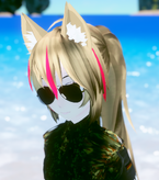 At the beach