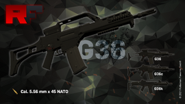G36.png