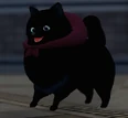 Soliluquys Dog.png (327 KB) Soliluquys Dog Shanrock