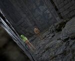 A mysterious door in the cavern.