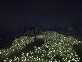 World-NieR Automata-flowers