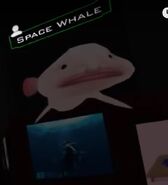 Space Whale blending in with wall decoration
