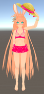 Swimsuit Outfit