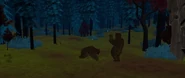 Wild bears doing wild stuff