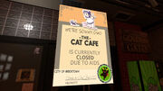 Rofl Sept 2nd 2020 3 Bearly shut down the neko cafe