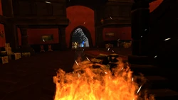 Ascension finds Edgar burning boxes and papers in the manor.