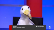 Nagzz on a news show being interviewed. See trivia to understand this meme