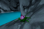 RangerSavage Oct 8 2020-SapBlightBlossom