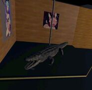 Portraying a loose crocodile escaped from the Bricktown sewers