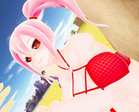 Closer look at the swimsuit design