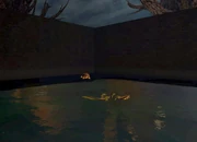 The hissing turtle  killed Lumpy?! Poor pet alligator...