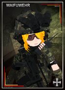 Combat