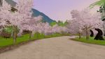 Sakura trees of the academy