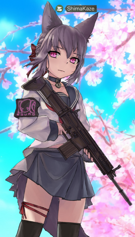 Shima HD