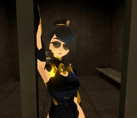 Officer