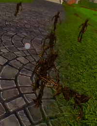 Twig Blights