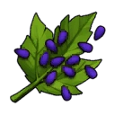 Sacred Grape Seed | VRising Wiki | Fandom