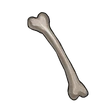 Item Bone