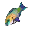 Item RainbowTrout