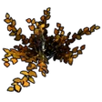 Item AutumnBirchSapling