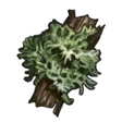 Item WeepingWillowSapling